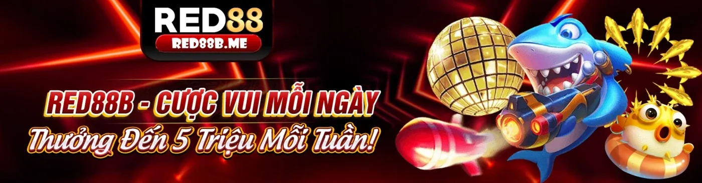Hình ảnh minh họa Chính sách Cookie và bảo mật dữ liệu tại 22hello88 chính thức